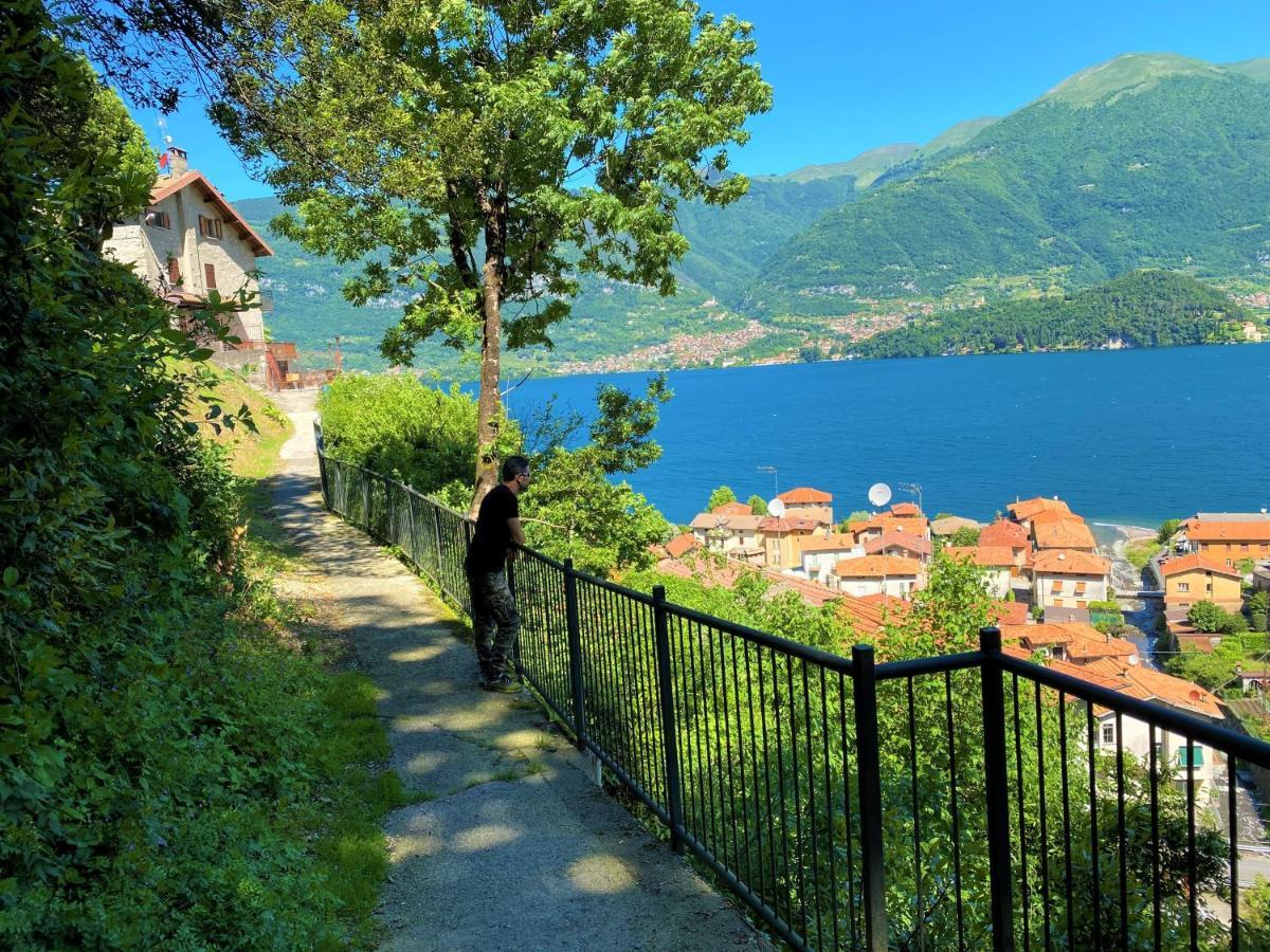 Il Bellavista Leilighet Lezzeno Eksteriør bilde